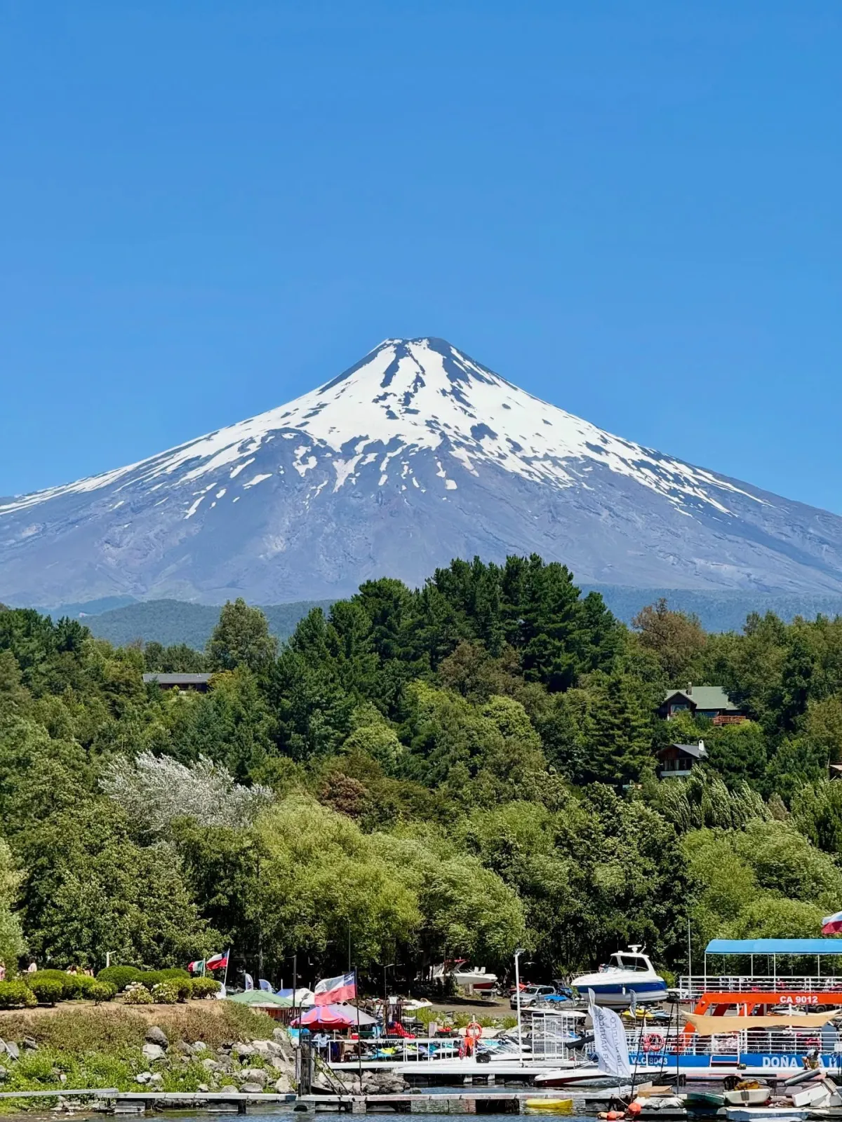 🌿 Región de La Araucanía & Región de Los Ríos 🌲
Del 14 al 18 de Enero 2027
